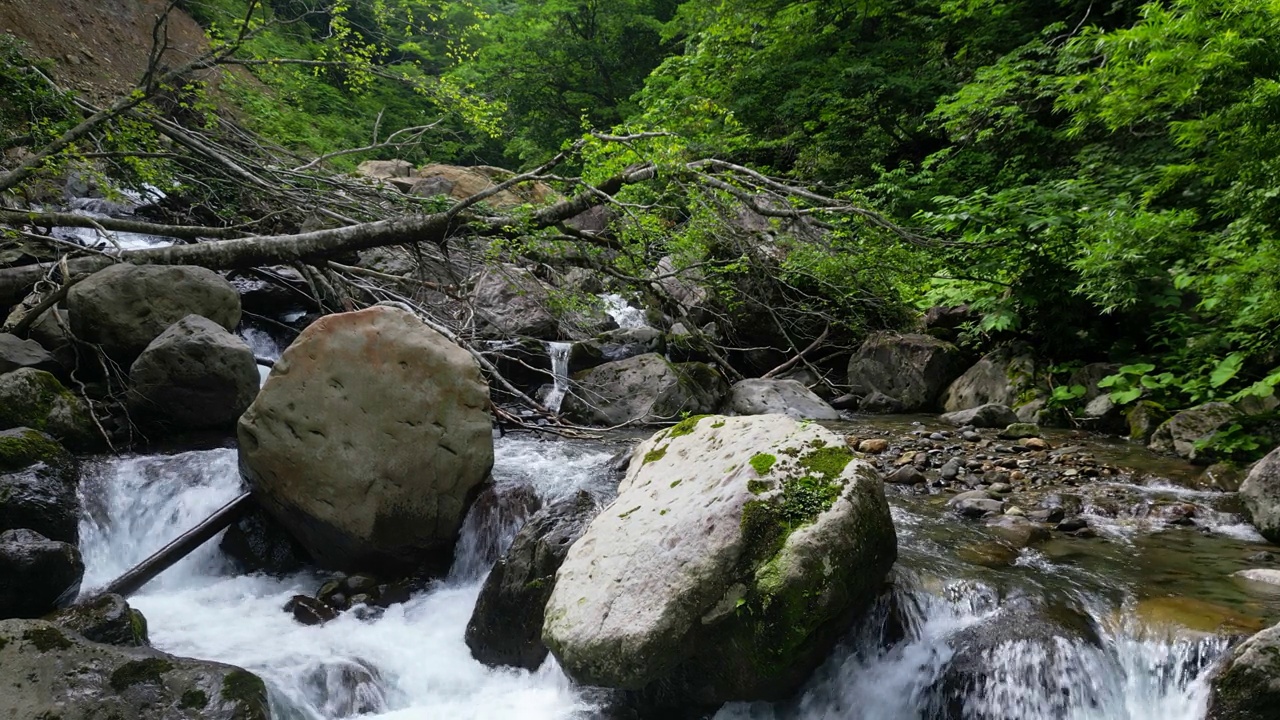 沿着山涧从瀑布飞回来视频素材