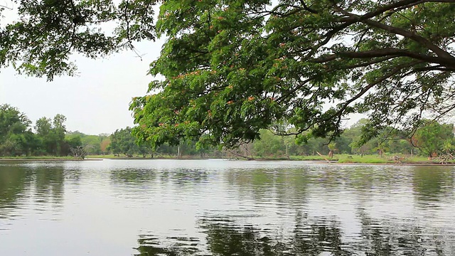 湖景3个镜头视频素材