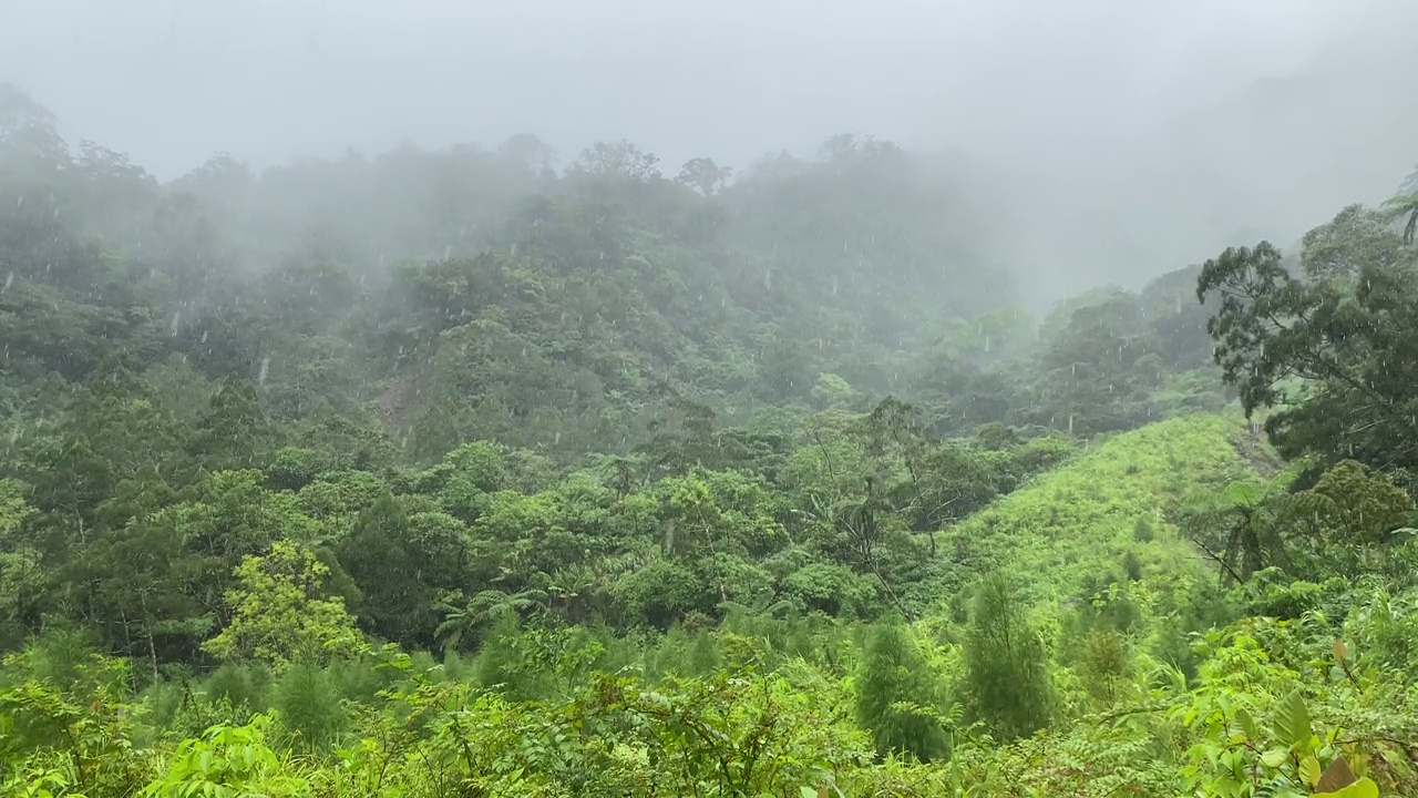热带暴雨在覆盖着丛林和云层的山上。视频素材
