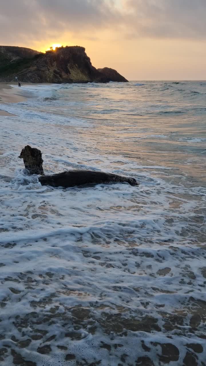 宁静的海滩日落与海浪的声音视频素材