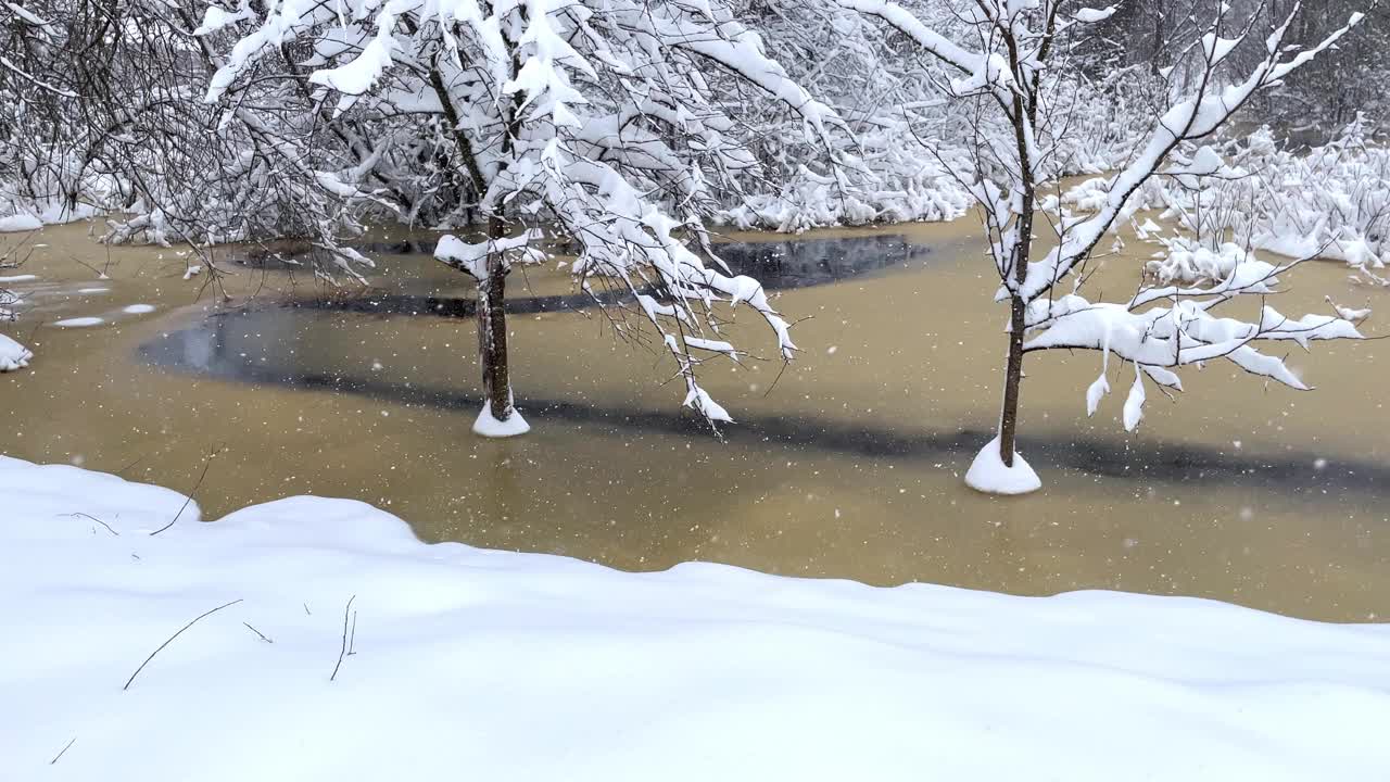 冰雪覆盖的霜刷蒸汽在冰面上。雪落在冬天的灌木丛上。视频素材