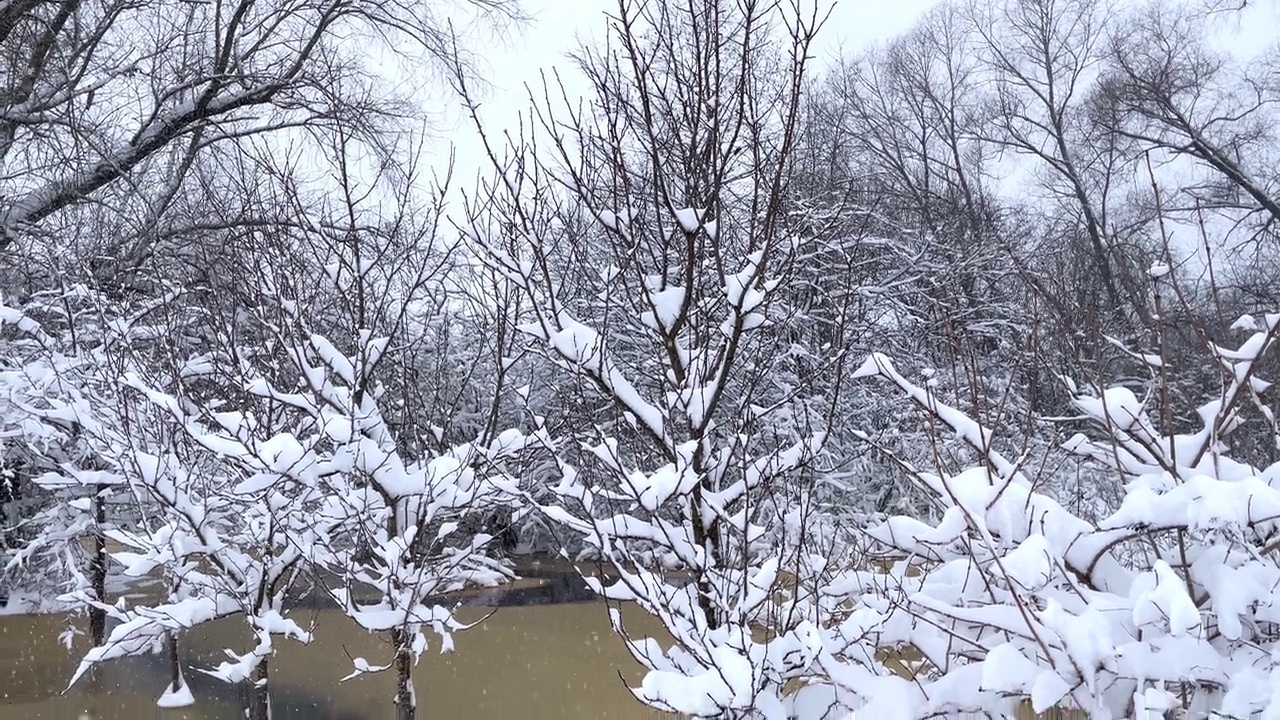 冰雪覆盖的霜刷蒸汽在冰面上。雪落在冬天的灌木丛和河流上。视频素材