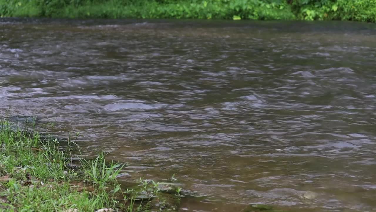 泰国森林雨后的Tanaosri河的特写水。视频下载