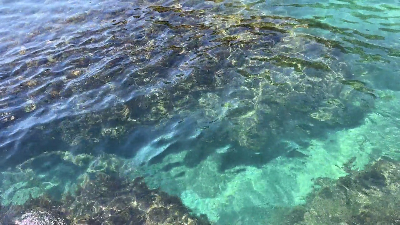 海水表面清澈，海草在海底，鸟瞰。视频素材