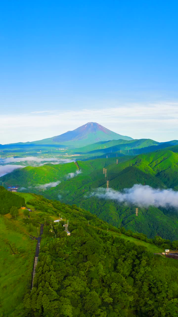 早晨的和谐:迷人的时间拍摄下雨的早晨与美丽的富士山和宁静的夏日森林视频素材