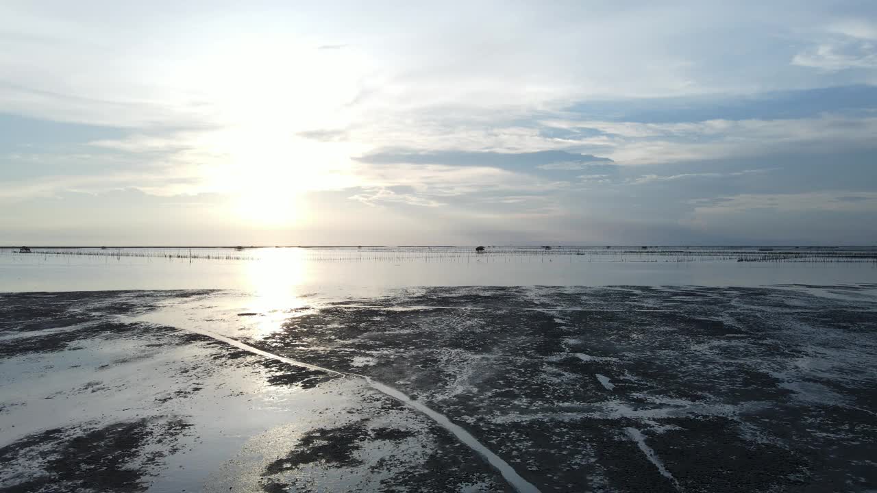 鸟瞰泥泞海岸上的红树林，为教育和解决污染问题。视频素材