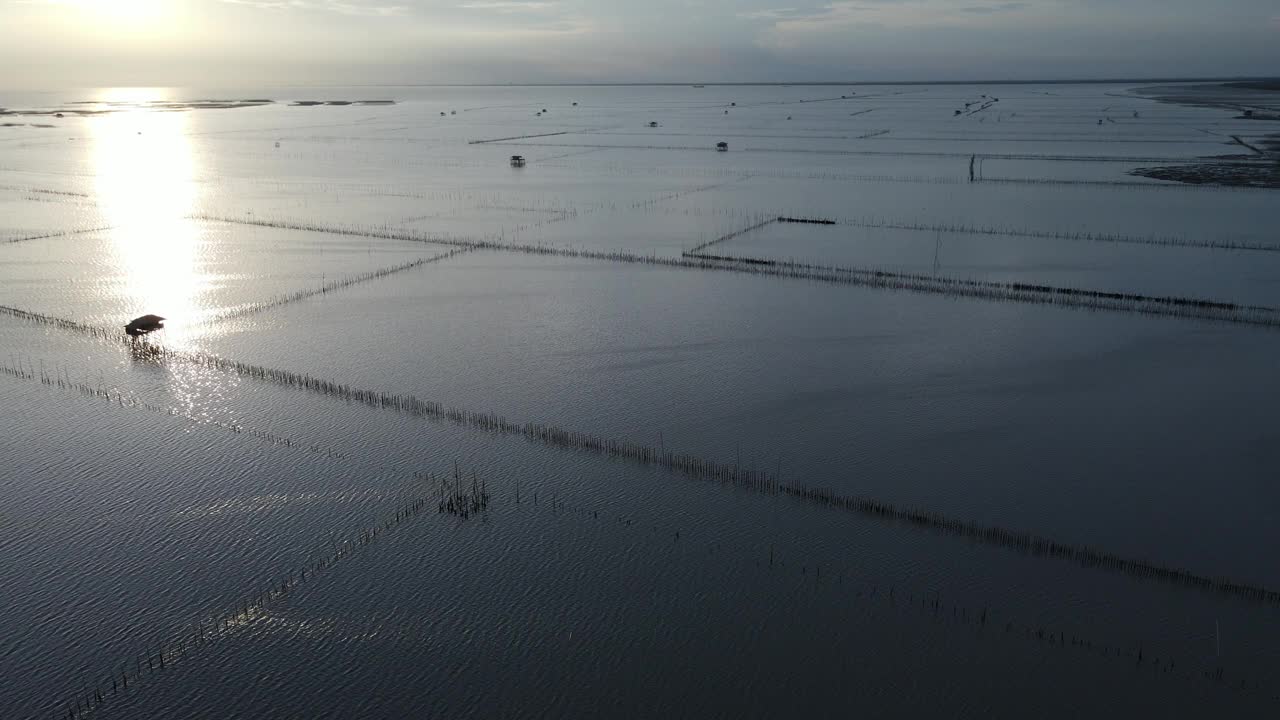 鸟瞰泥泞海岸上的红树林，为教育和解决污染问题。视频素材