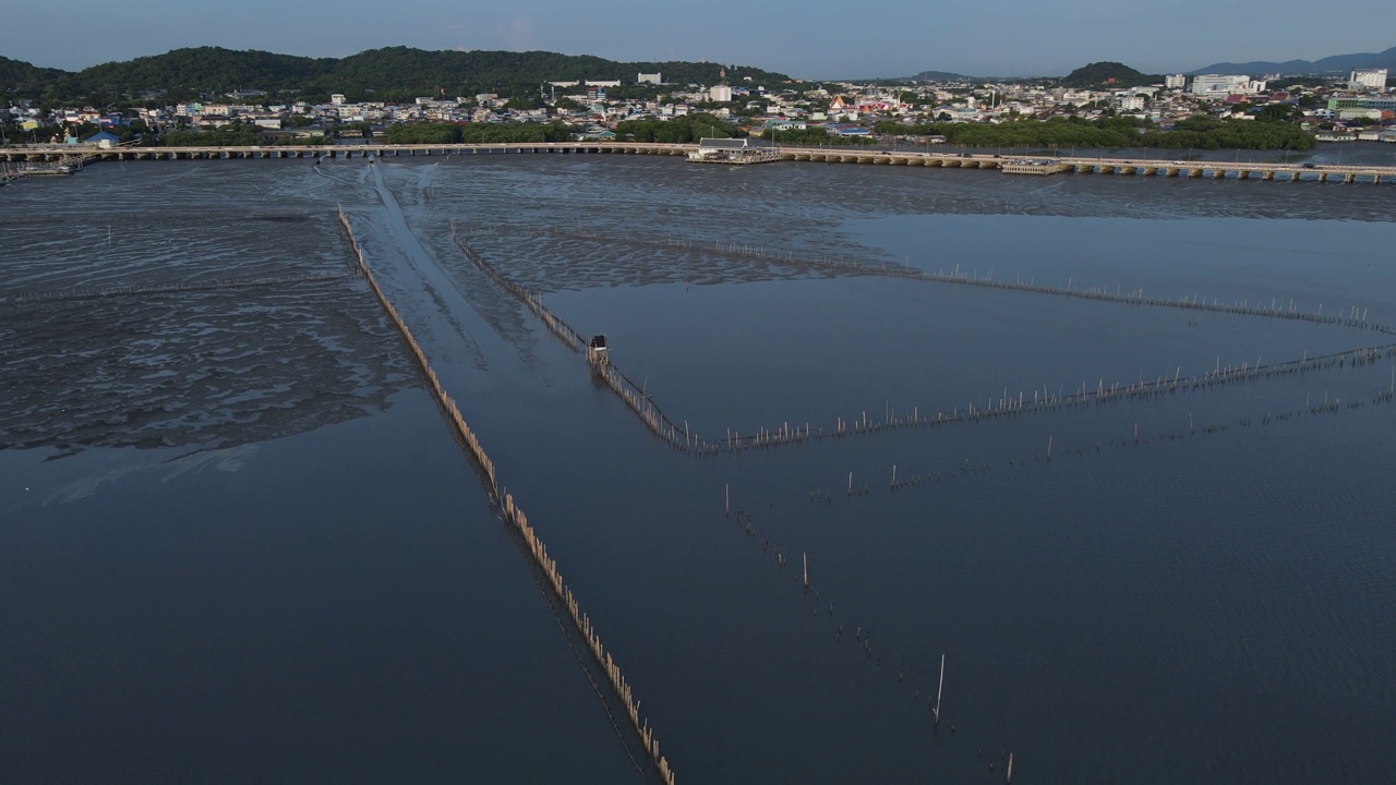 鸟瞰马路对面和泥泞海岸上的红树林，为教育和解决污染问题。视频下载