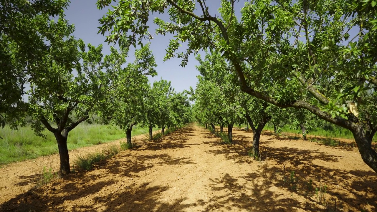 柏油路在西班牙靠近大海的山上视频素材