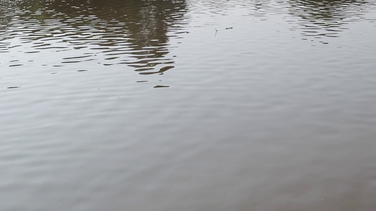 河流水面细节背景视频素材