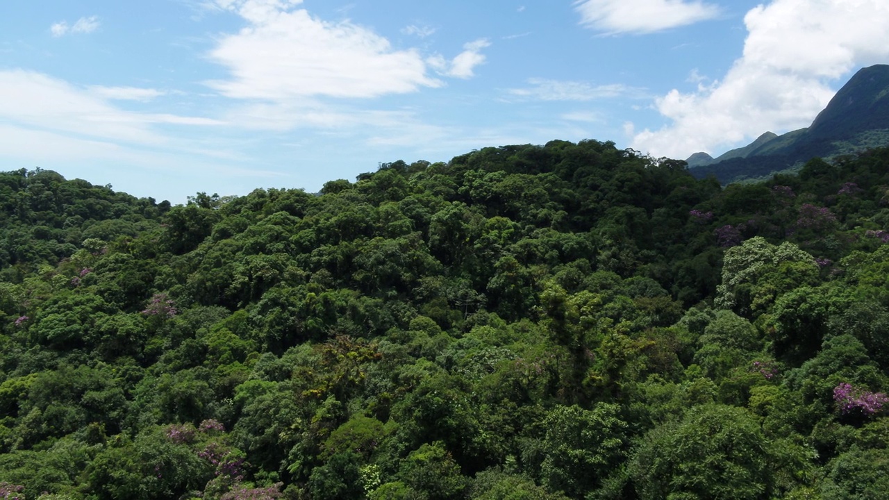 巴西南部大西洋森林生物群系鸟瞰图。视频素材