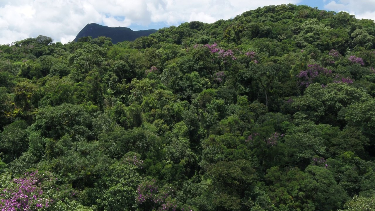 巴西南部大西洋森林生物群系鸟瞰图。视频素材