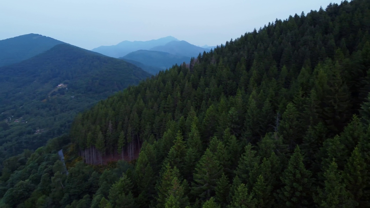 无人机拍摄的绿色山脉和湖边的高速公路，黄昏时天空雾蒙蒙视频素材