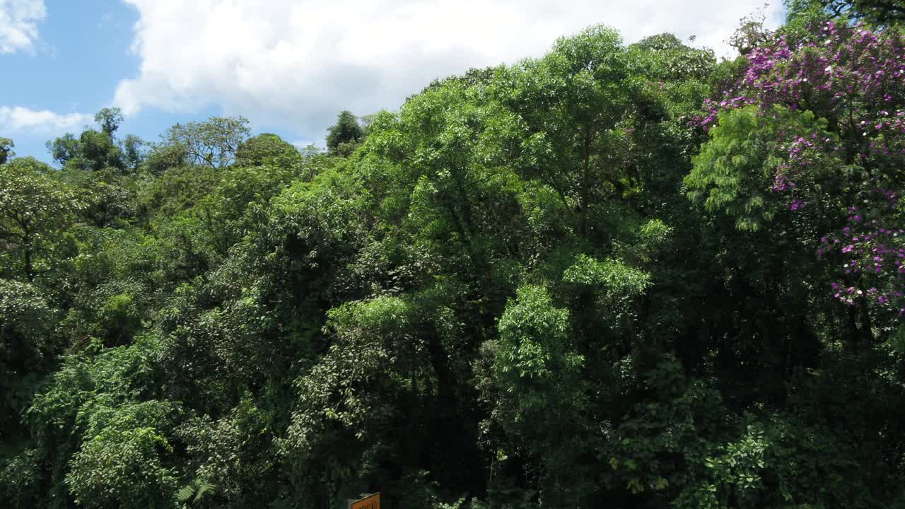 巴西南部大西洋森林生物群系鸟瞰图。视频素材