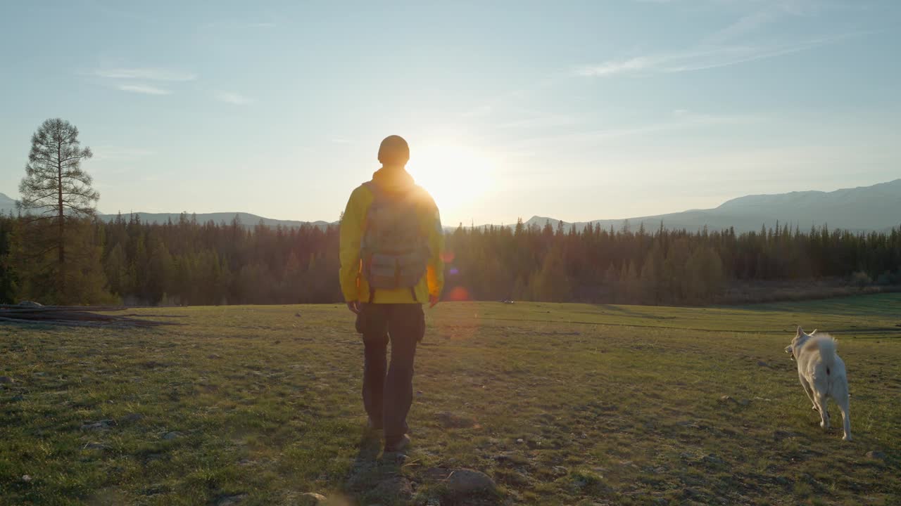 徒步旅行者带着狗在荒野地区散步，夕阳的背影视频素材