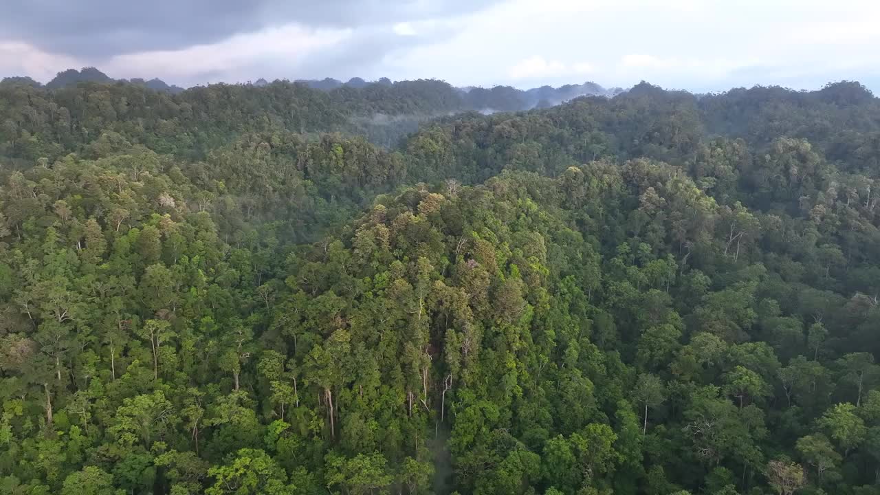 印尼热带雨林覆盖景观鸟瞰图视频素材