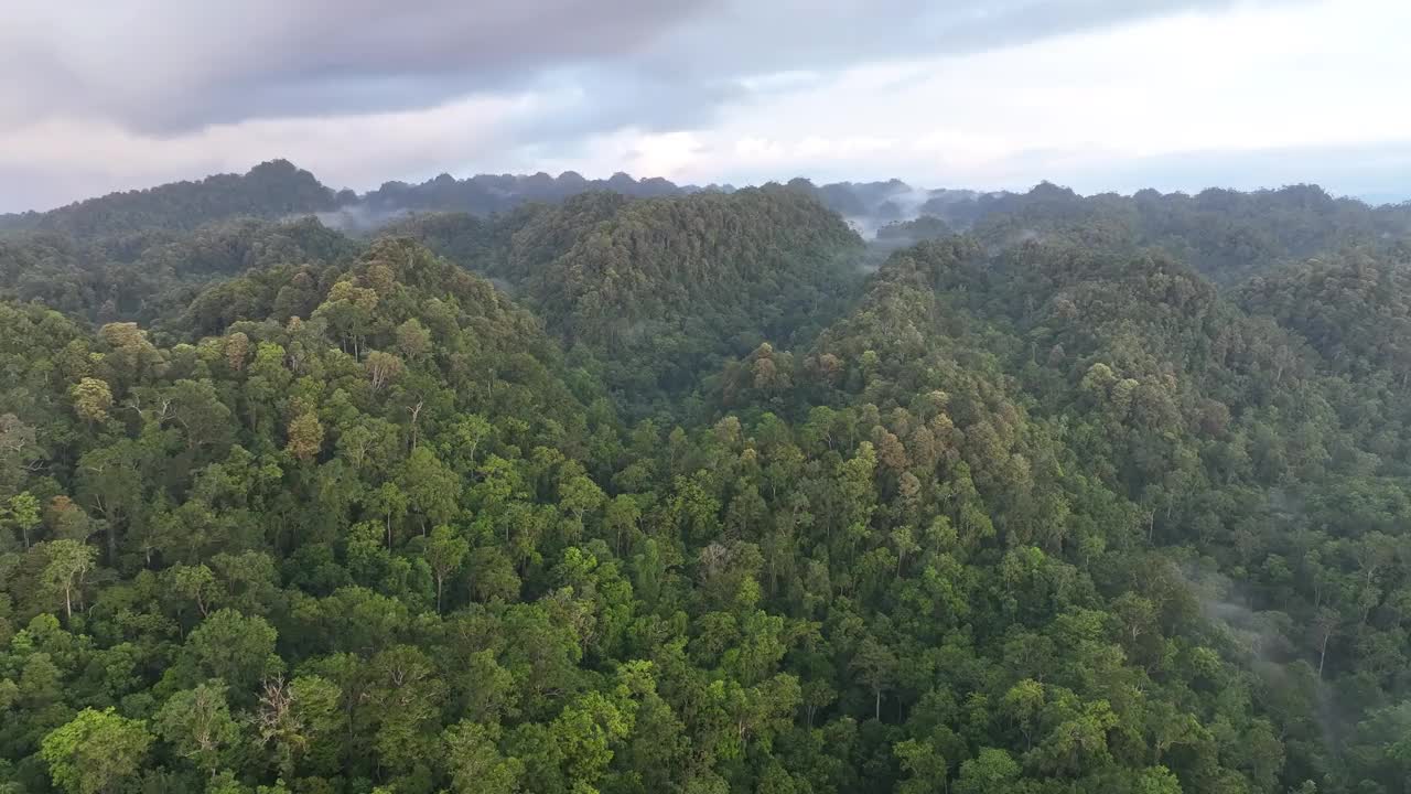 印尼热带雨林覆盖景观鸟瞰图视频素材