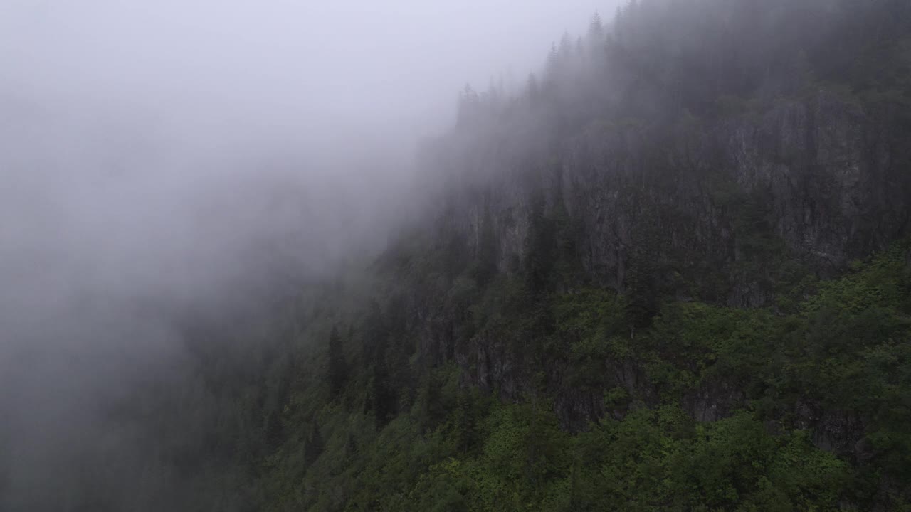 雾中的山和树视频素材