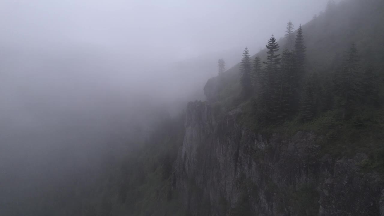 雾中的山和树视频下载