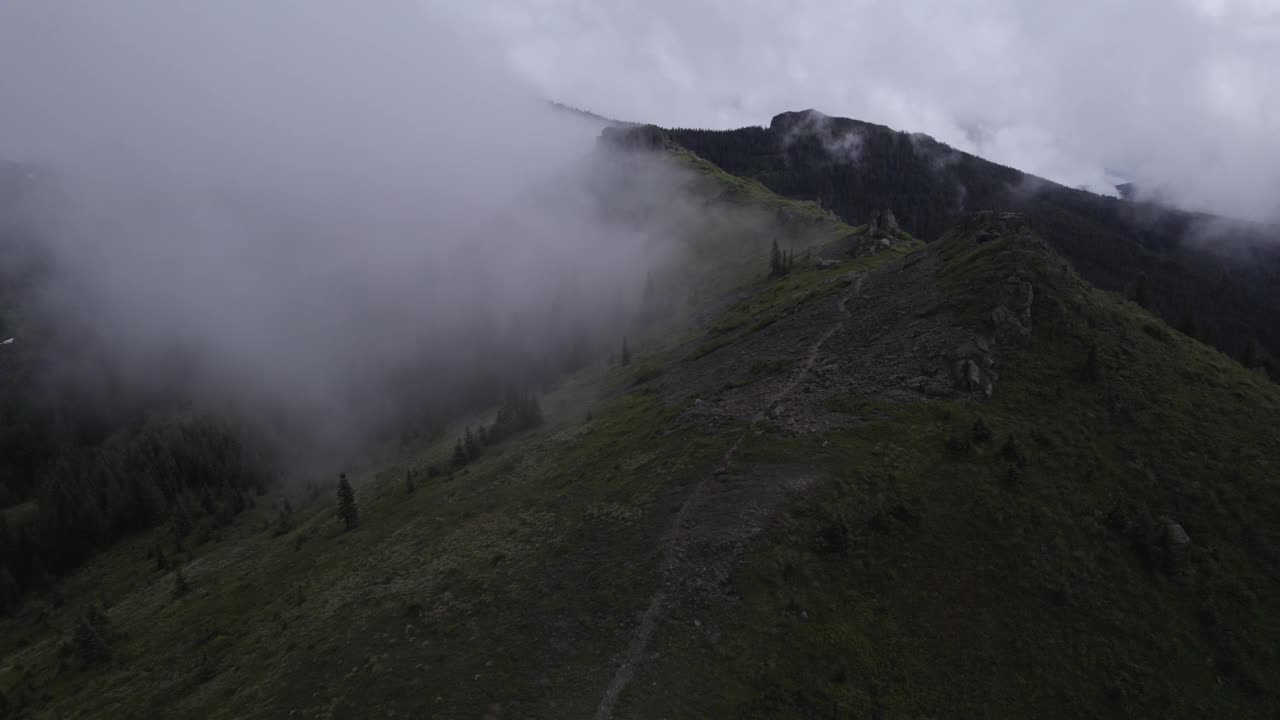 雾中的山和树视频下载