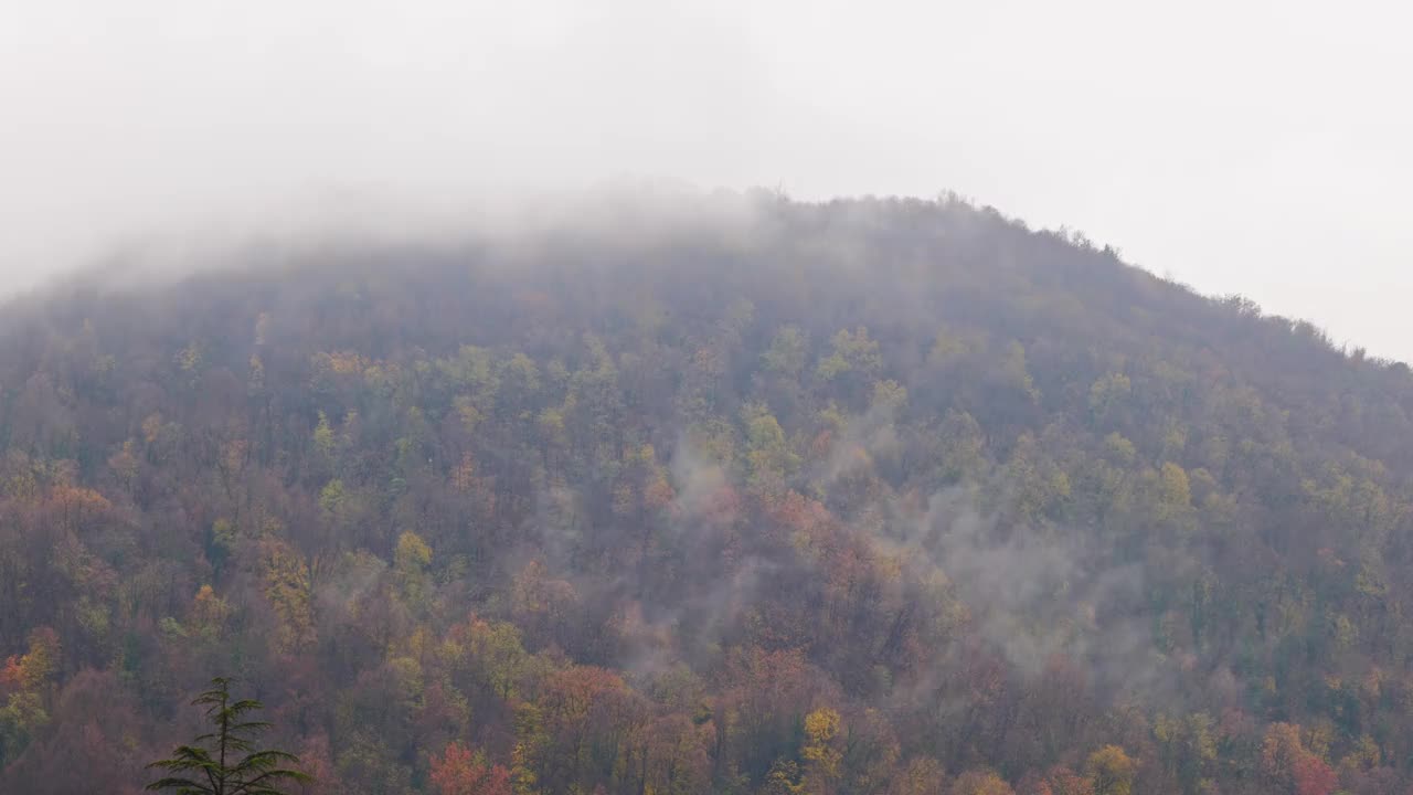 山顶有秋树和暴风云视频素材