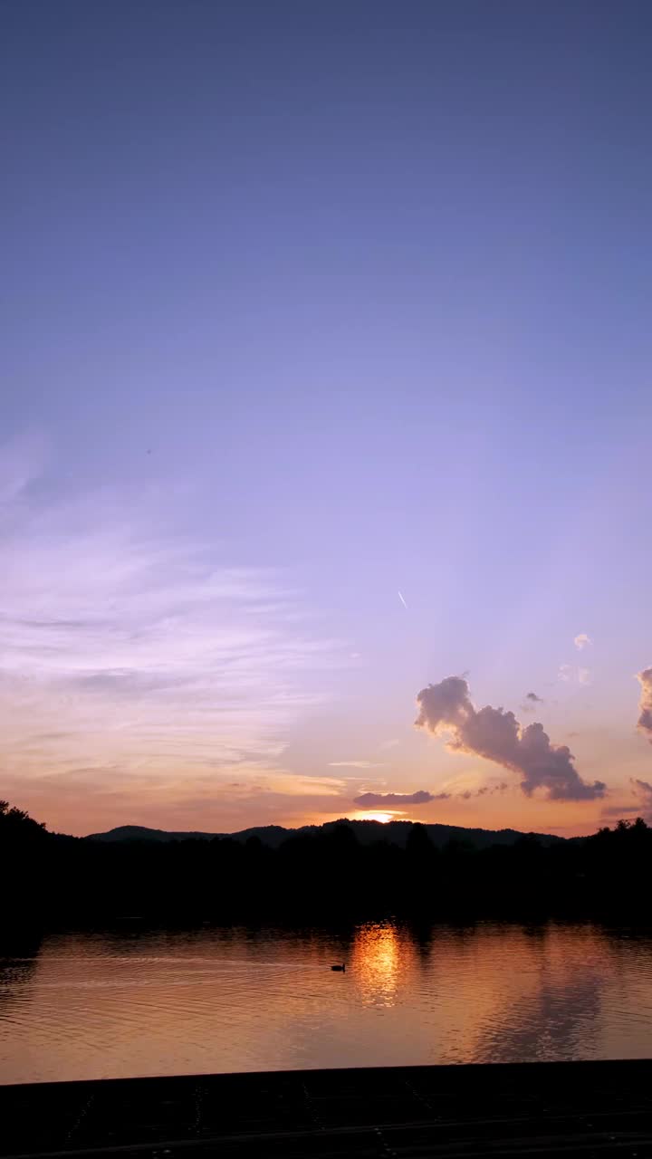 夕阳下的湖上的鸭子。视频素材