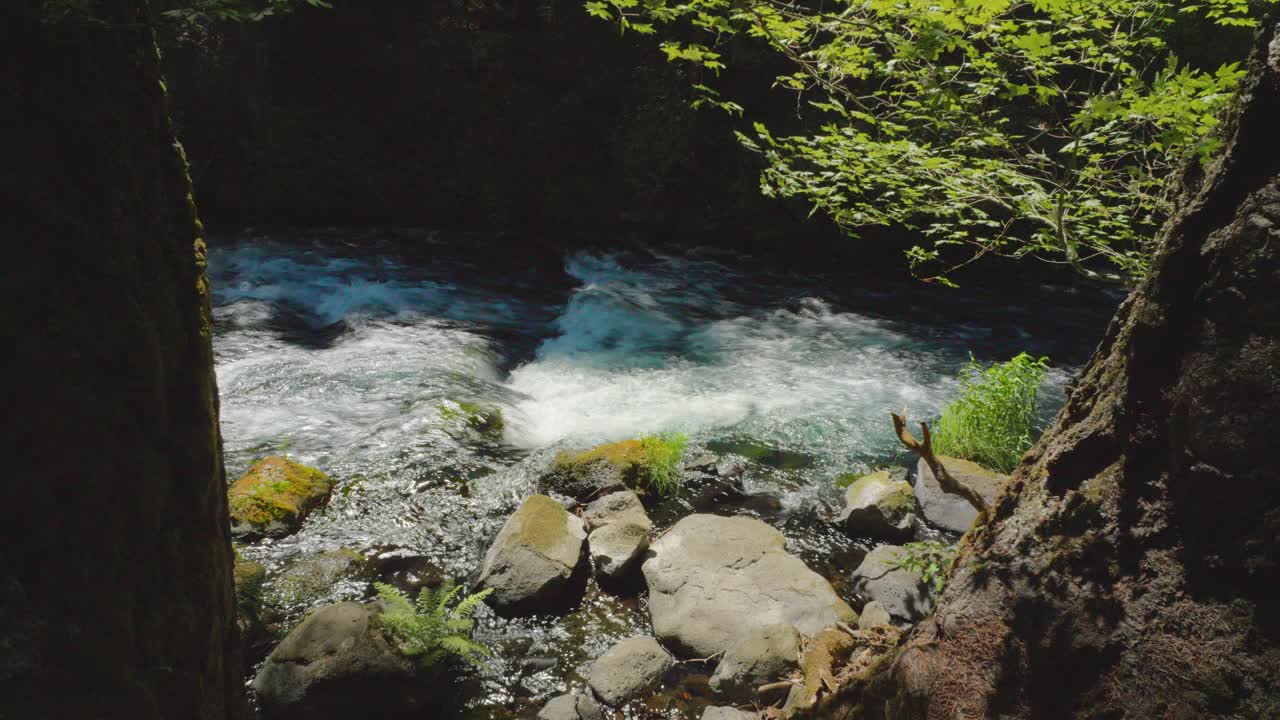 清澈的河流急流视频素材