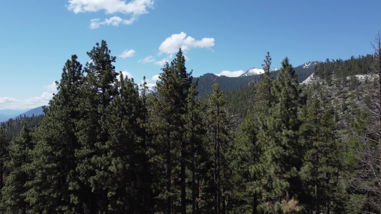 全景日出在雄伟的雪山山脉内华达山脉太浩湖内华达州自然荒野茂密的森林视频下载