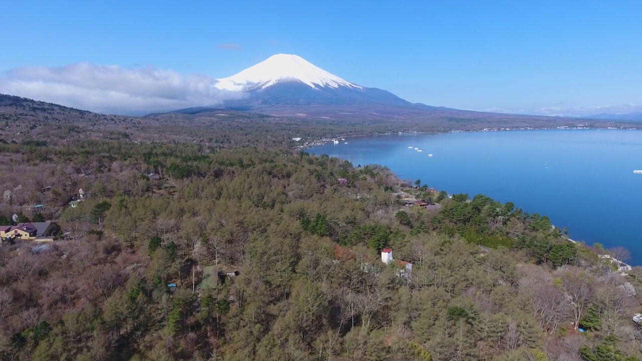 日本川口湖富士山的无人机鸟瞰图视频素材