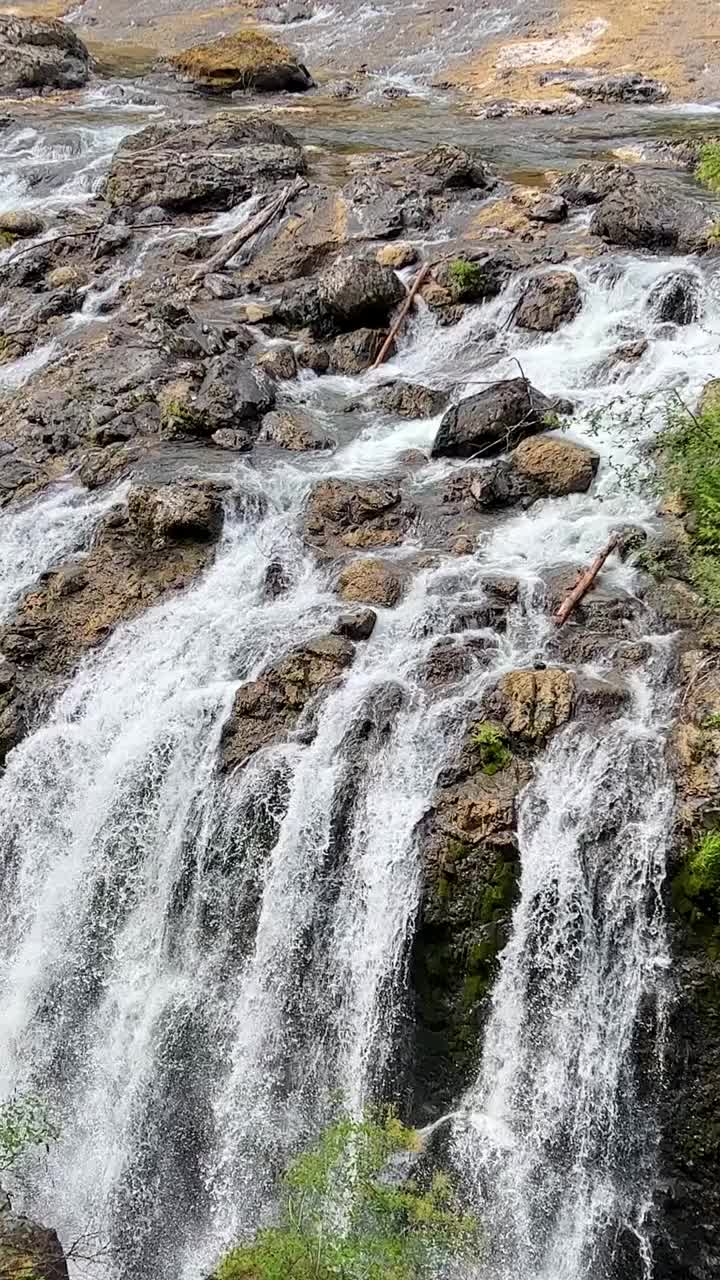 英国河上瀑布的美丽景色，周围是长满苔藓的岩石和郁郁葱葱的森林树木，英国河瀑布公园Parksville Qualicum加拿大温哥华岛视频素材