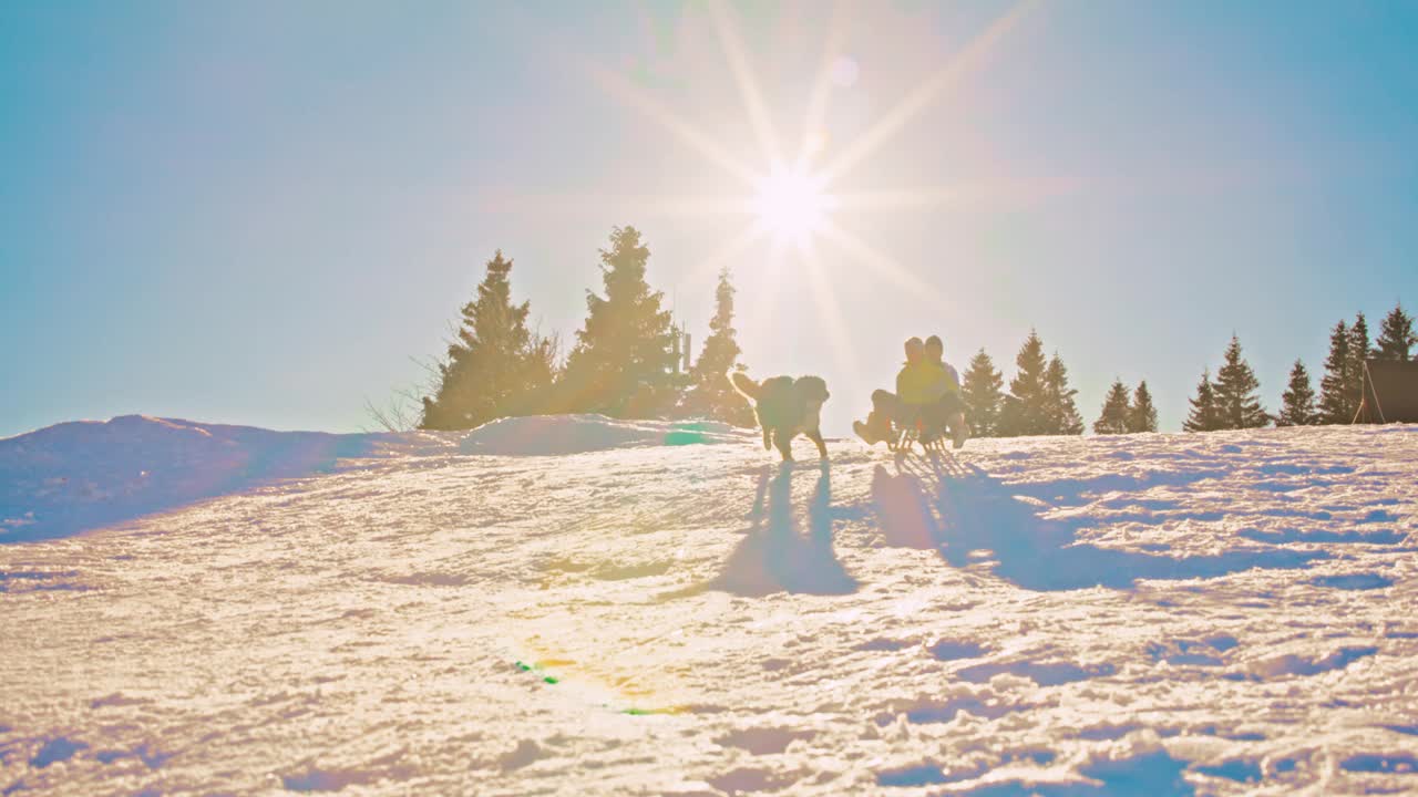 两个女人和一只狗在雪坡上滑下雪橇，玩得很开心视频素材