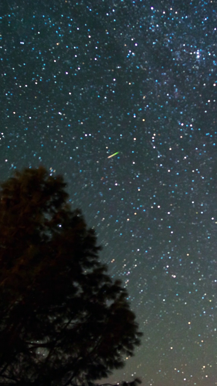 树梢上繁星点点的夜空视频素材