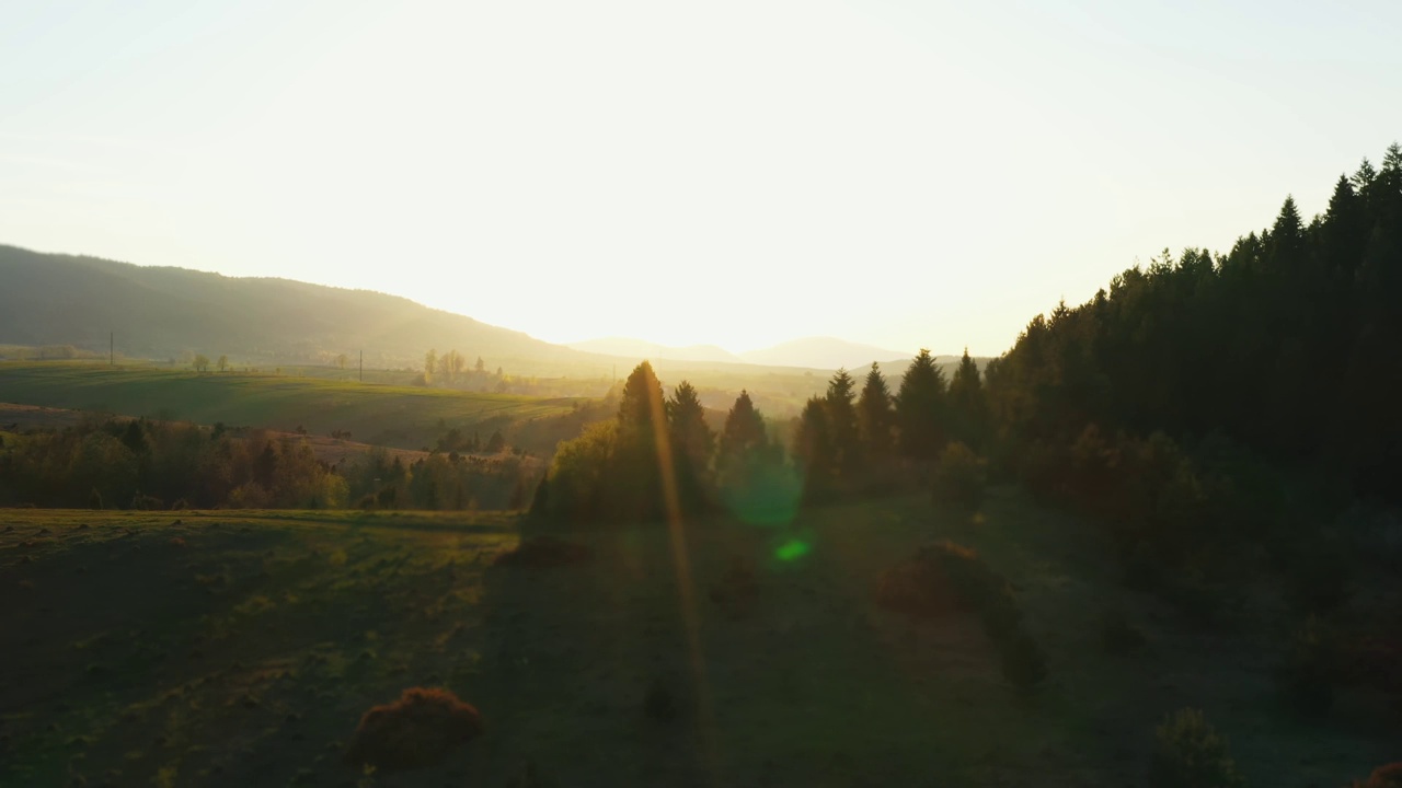 空中无人机俯瞰美丽的风景山丘。壮丽的青山与松树在日落与太阳瞥见和光学耀斑。视频素材