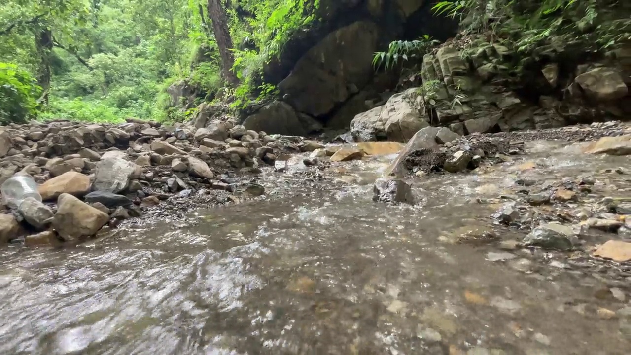 绿色森林中水流上的岩石特写视频素材