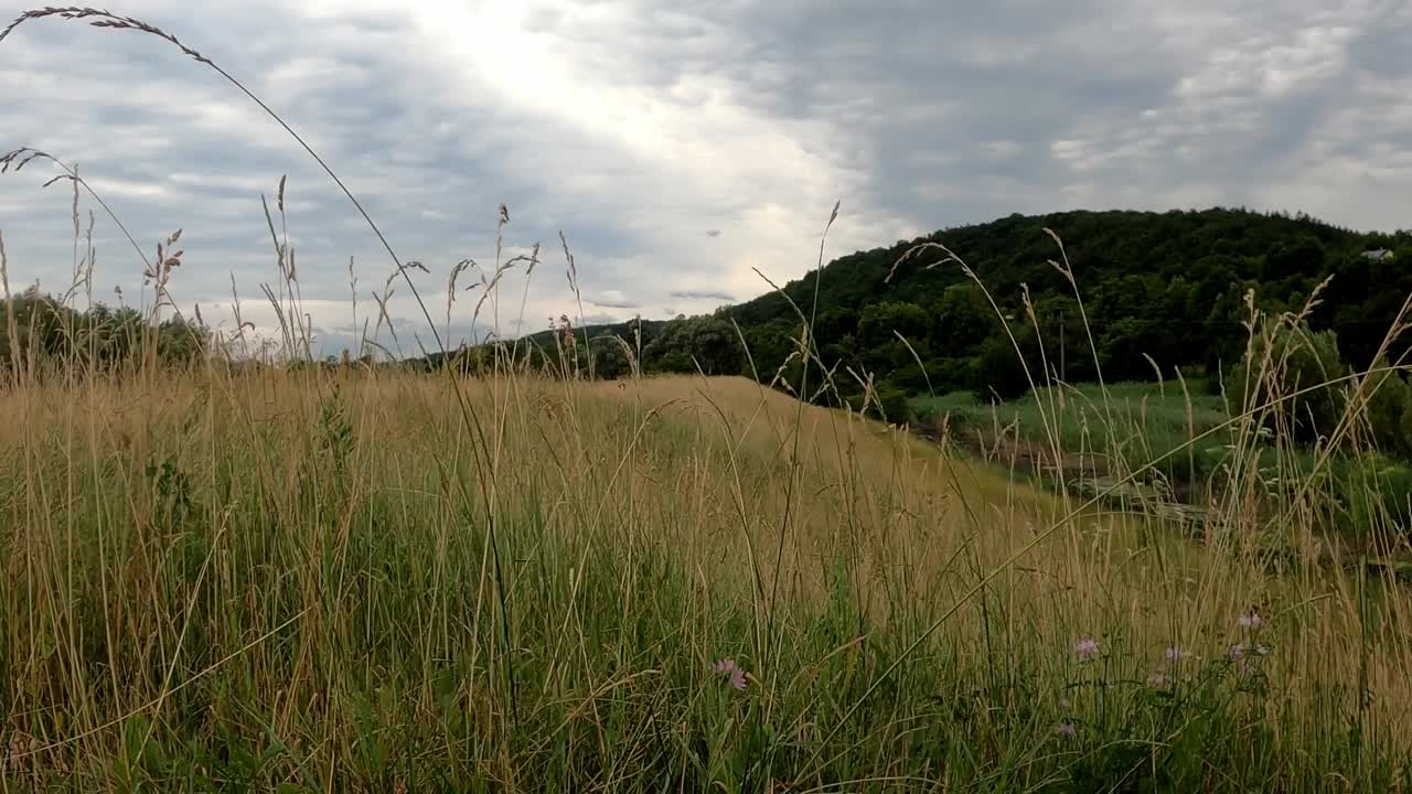 巴伐利亚的田野和草地上有雨云视频素材