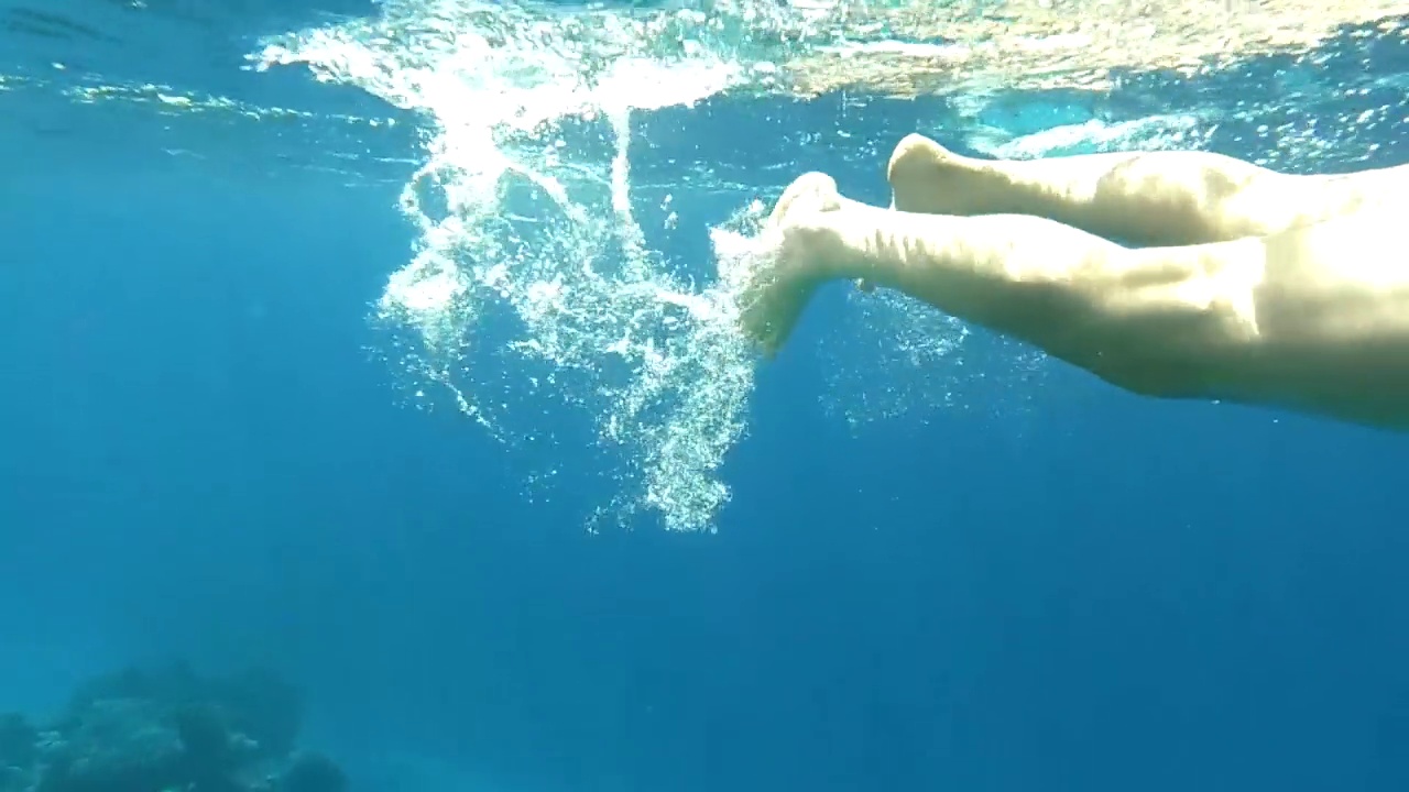 埃及红海水下摄影，珊瑚礁和海鱼，红海，旅游和观鱼视频素材