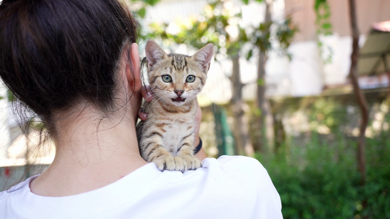 小猫坐在小女孩的背上，好奇地环顾四周。视频素材