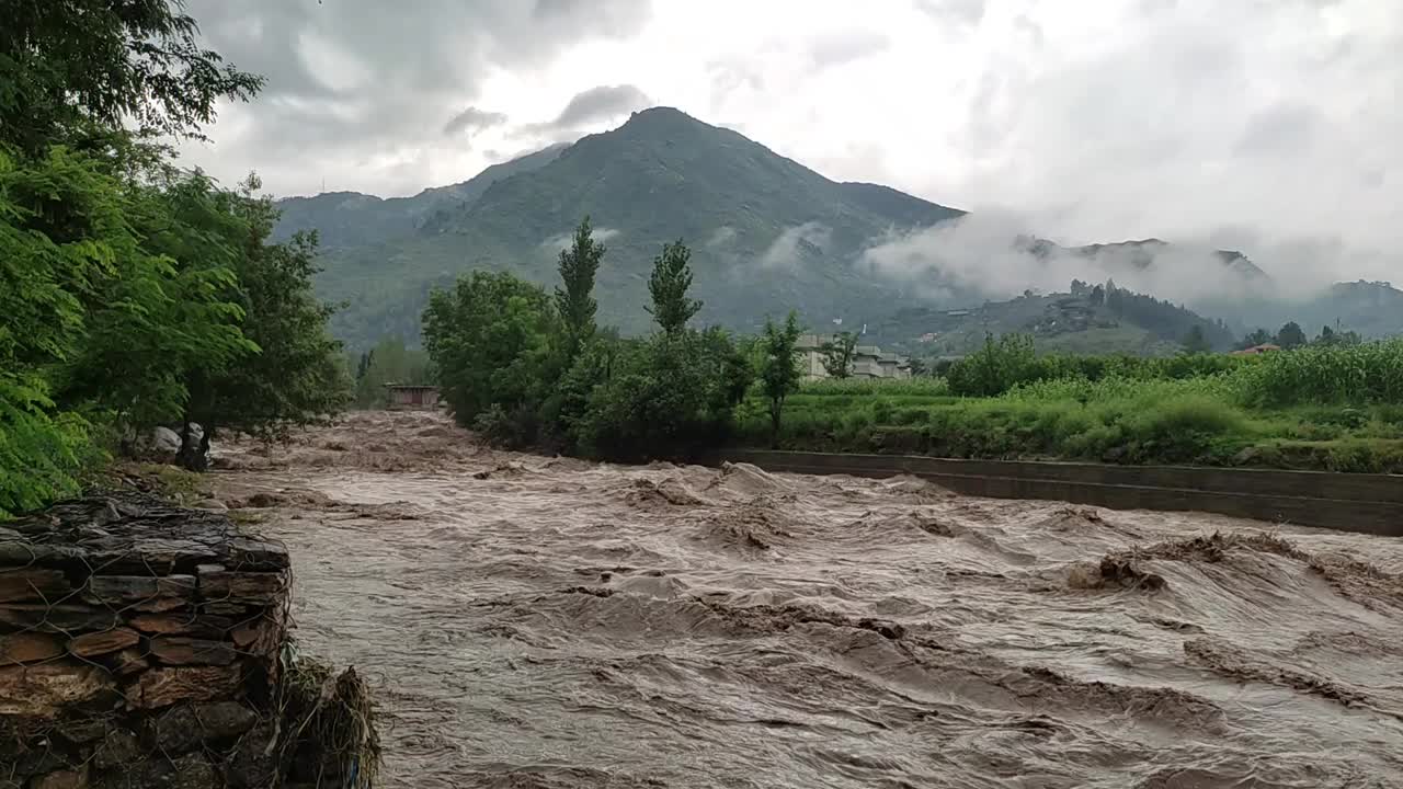 斯瓦特洪水泛滥视频下载