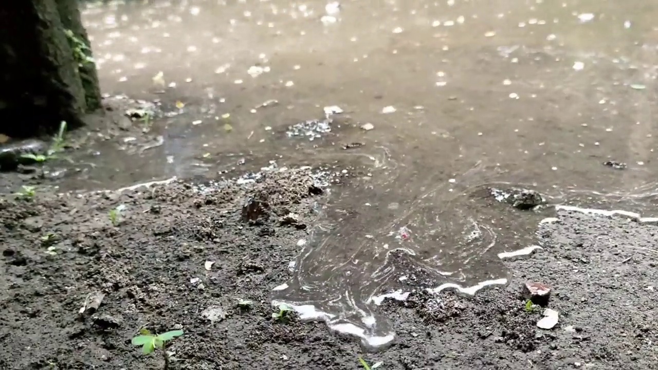 被雨水排干的旱地视频素材