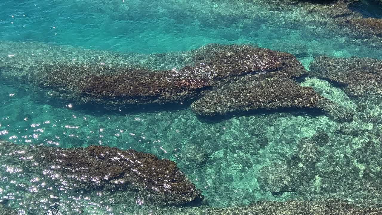 大海碧蓝碧绿，海岸岩石上百花闪烁。视频素材