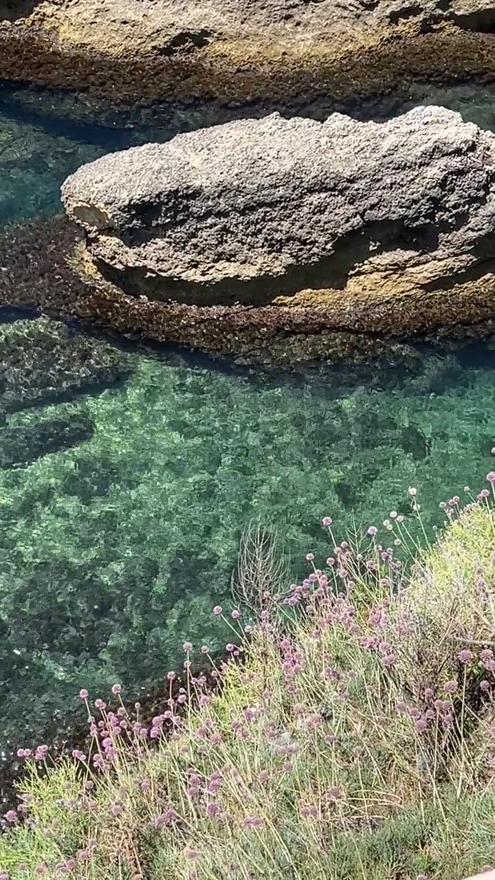 海上碧蓝碧绿，海岸岩石上的花朵闪闪发光，垂直视频。视频素材