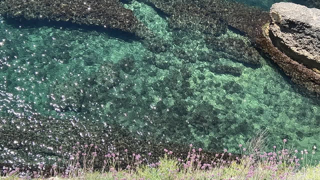 大海碧蓝碧绿，海岸岩石上百花闪烁。视频素材