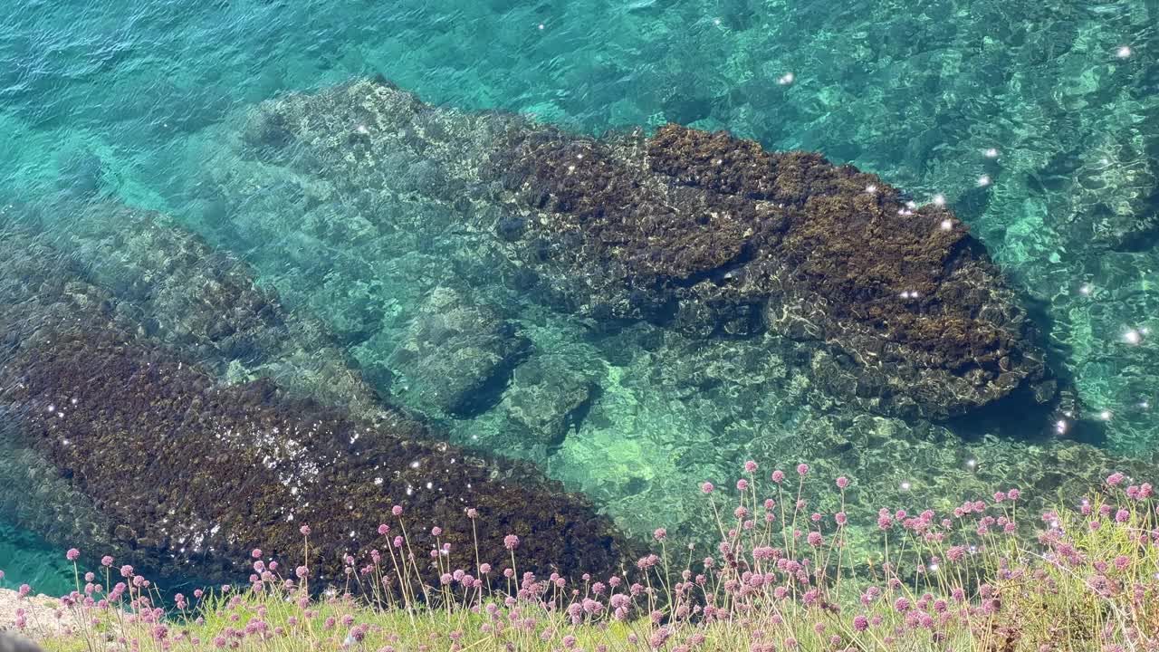 大海碧蓝碧绿，海岸岩石上百花闪烁。视频素材