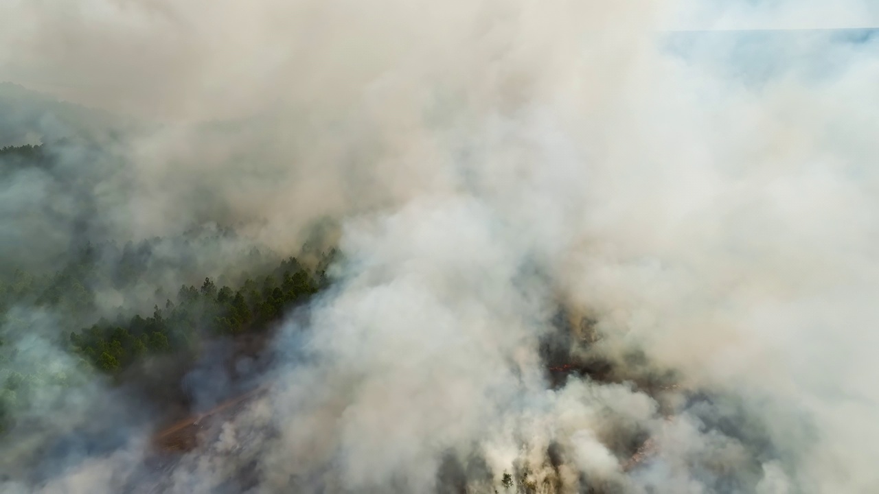 鸟瞰图:森林大火产生的白烟上升，污染了大气。自然灾害概念视频素材