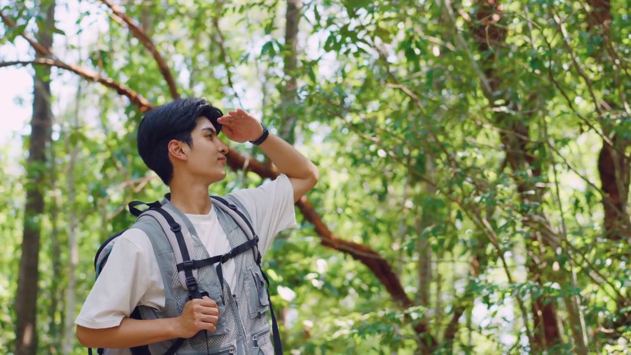 亚洲年轻英俊的男性背包客独自在森林野外旅行。在假期旅行中，有魅力的男人在大自然的树林里四处张望和探索，快乐而有趣。视频素材