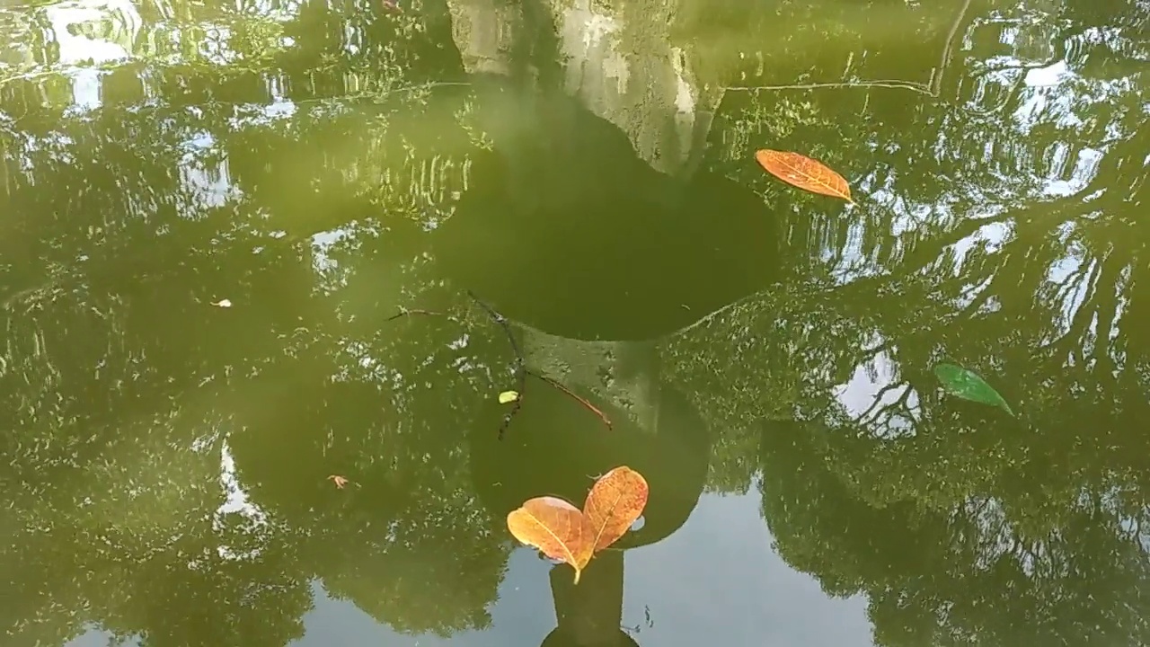 美丽的绿色水面与涟漪，水面背景在湖。视频下载