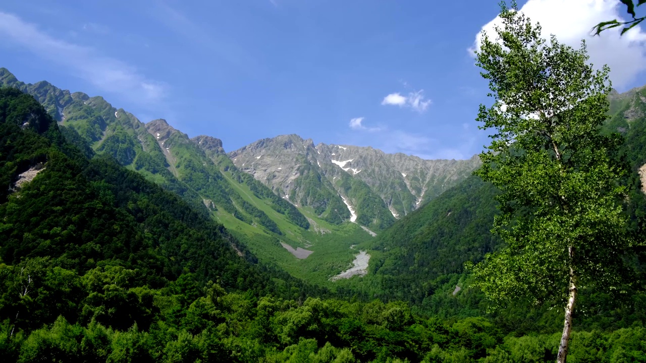 夏日风光，保高山脉和白桦树随风摇曳，上高知七月视频下载