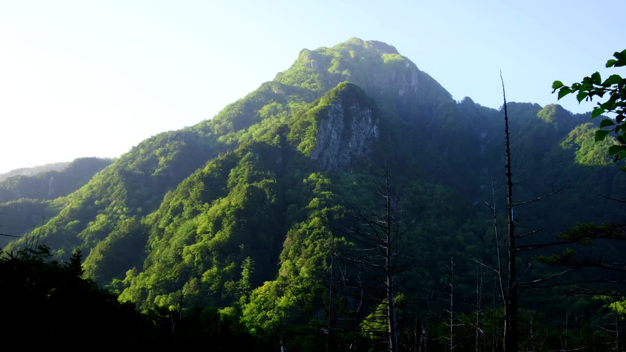 7月上高知县Dakesawa湿地，清晨阳光下的600山视频素材