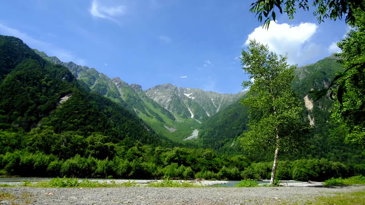 夏天的保高山和随风摇曳的树木，沿着阿苏萨河的左岸，上高知七月视频下载