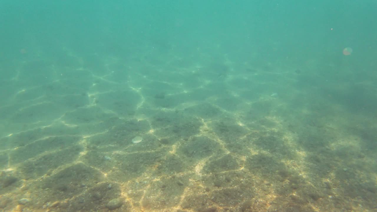 多石的海底视频素材